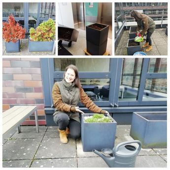 Aus alt mach neu: Unsere Pflanzenfee Jenni mit ihrem neuen Projekt! 🌱
#spassbeiderarbeit #terrasse #pflanzen #outdoor...
